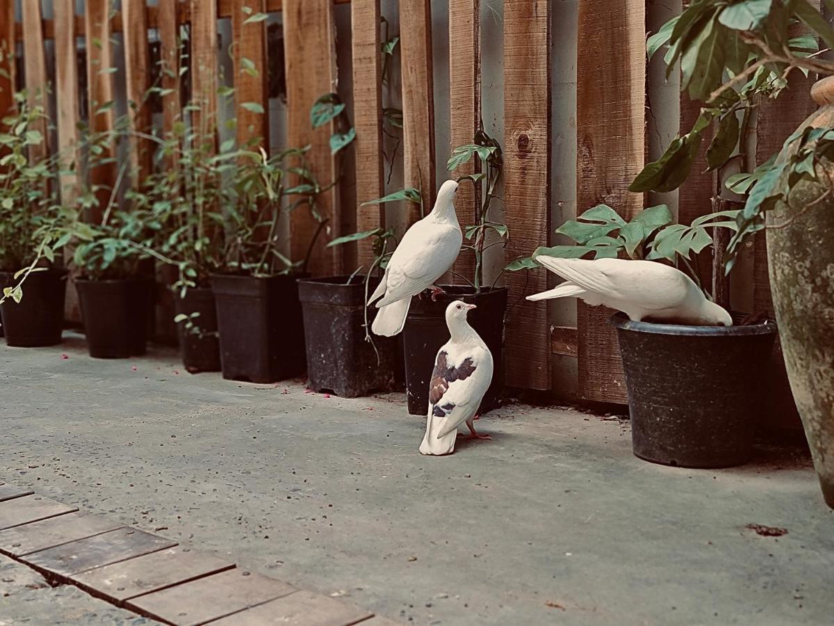 Tinh House Phu Quoc Otel Dış mekan fotoğraf